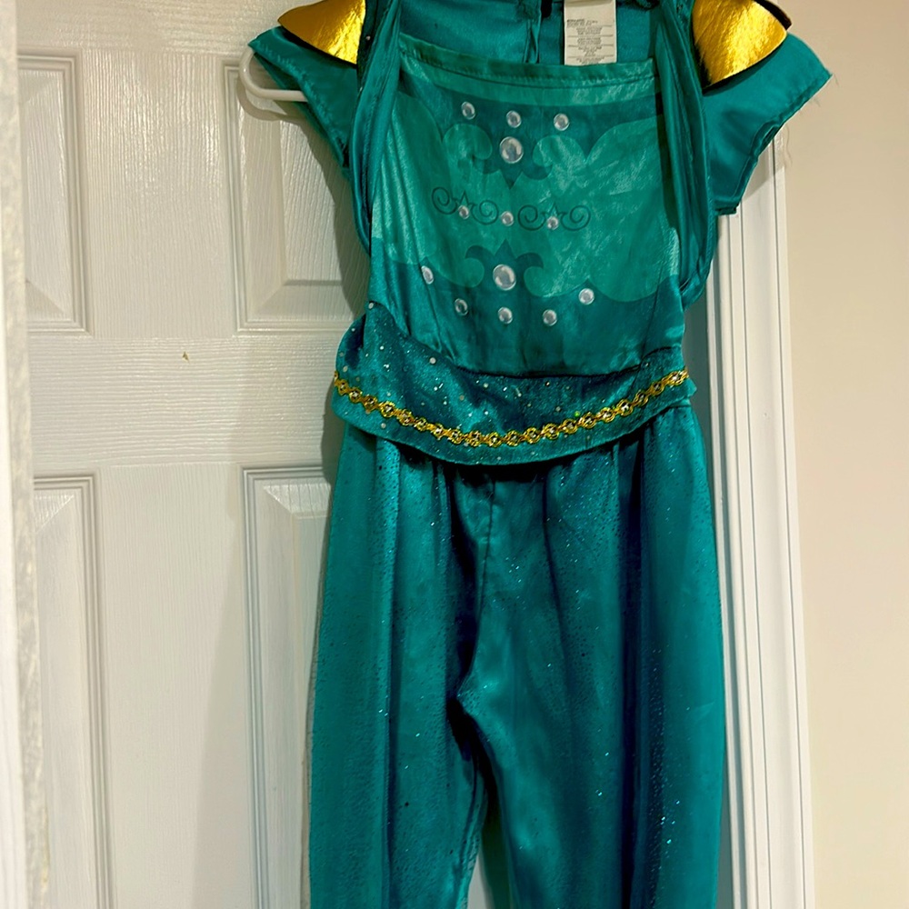 Jasmine Halloween Costume